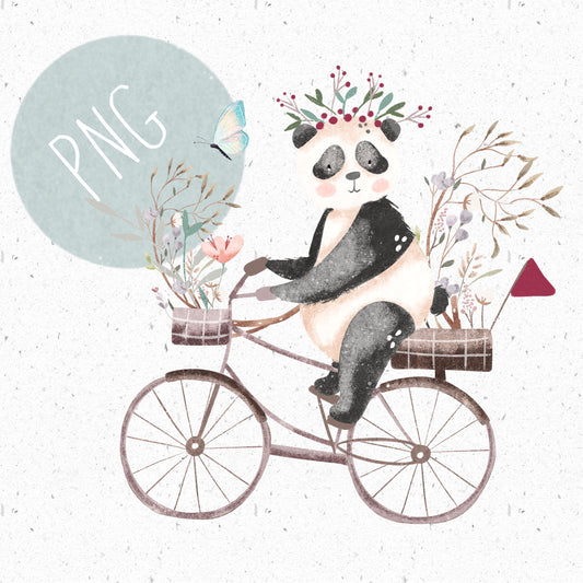 Panda on Bike PNG
