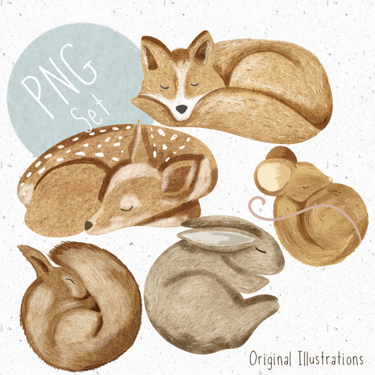 Sleeping Woodland Animals PNG Set