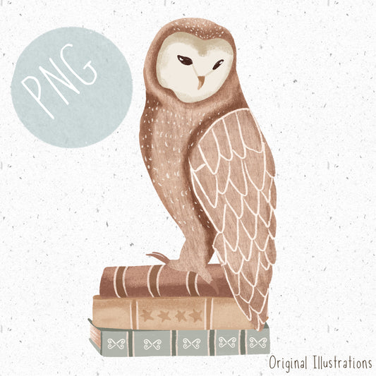 Reading Owl PNG