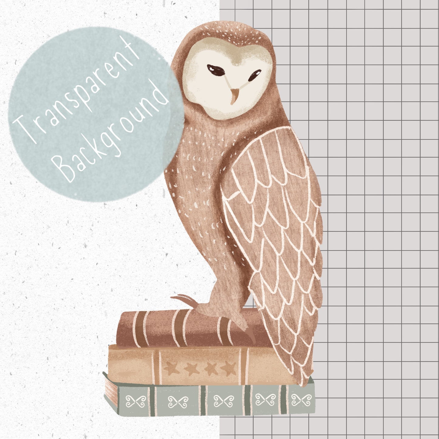 Reading Owl PNG