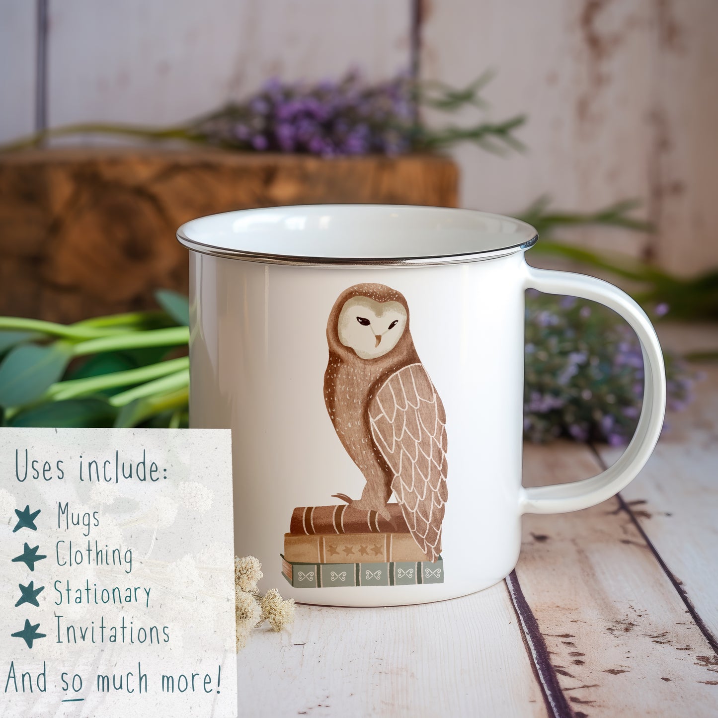 Reading Owl PNG