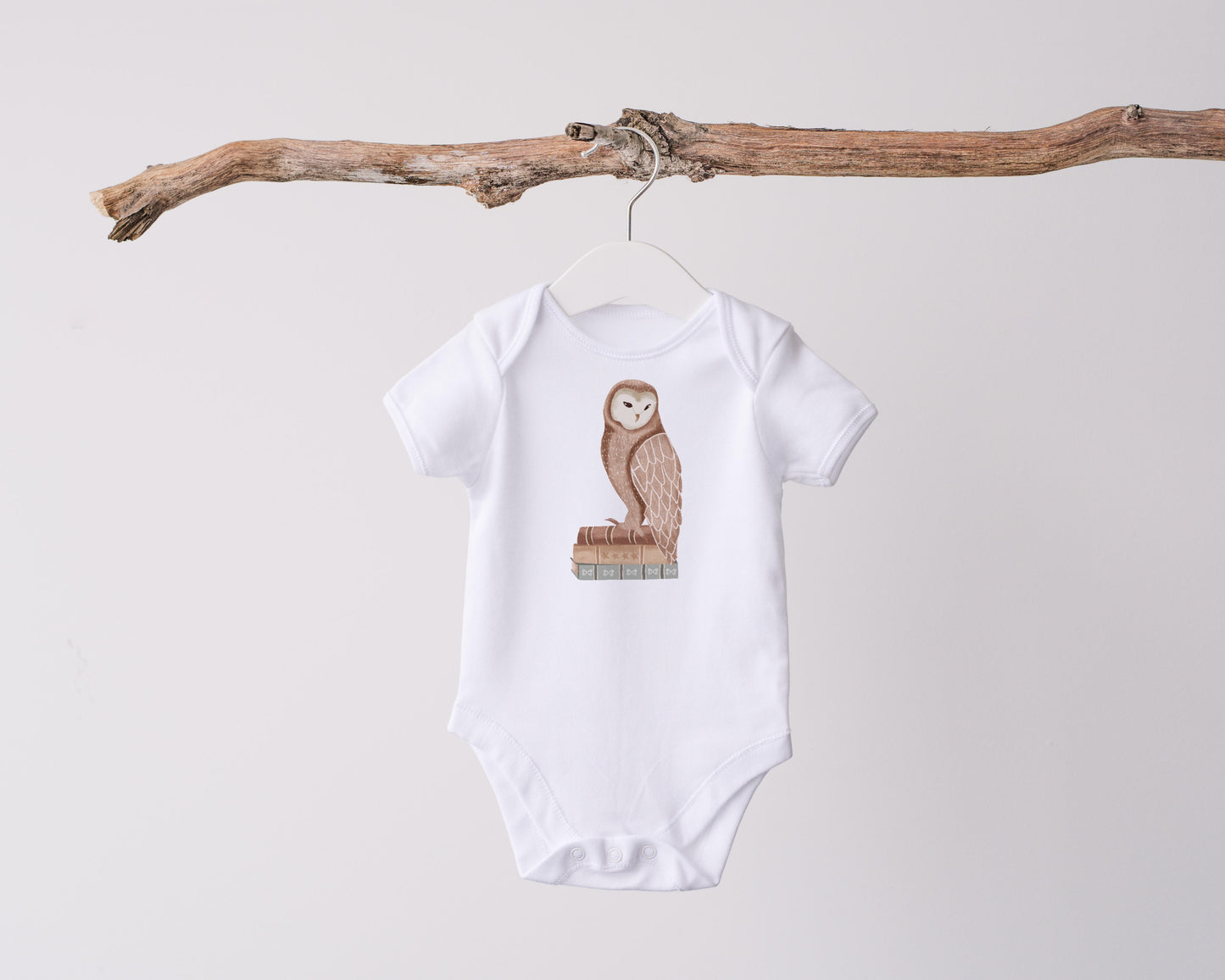 Reading Owl PNG