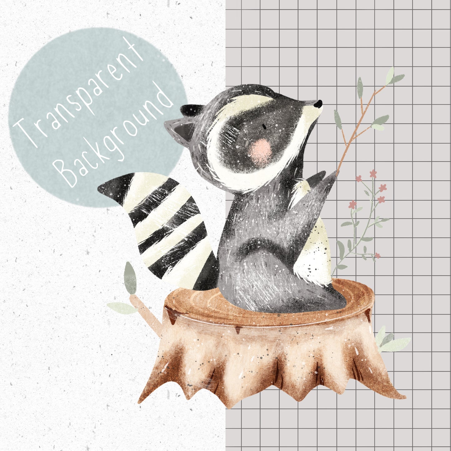 Racoon PNG