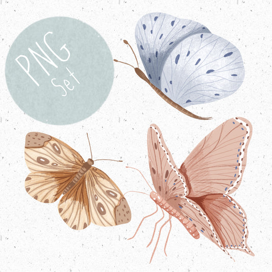3 Butterfly PNG Set