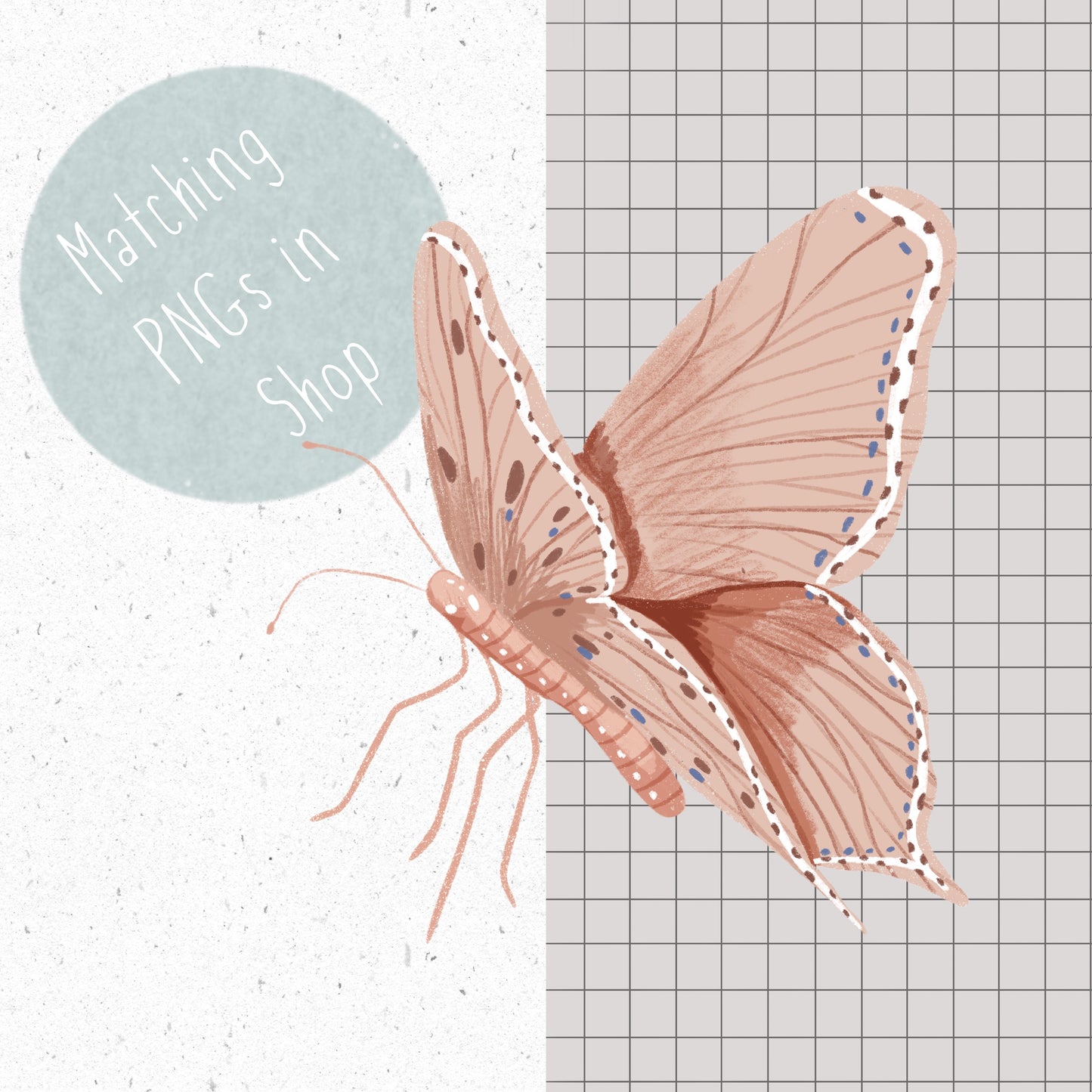 3 Butterfly PNG Set