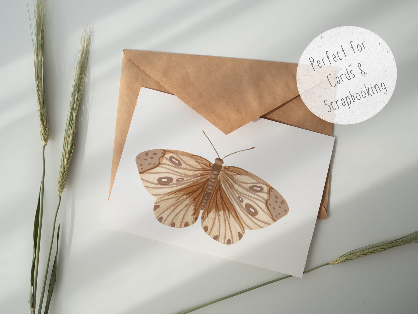 3 Butterfly PNG Set