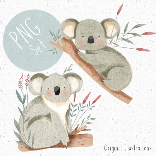 Koala PNG Set