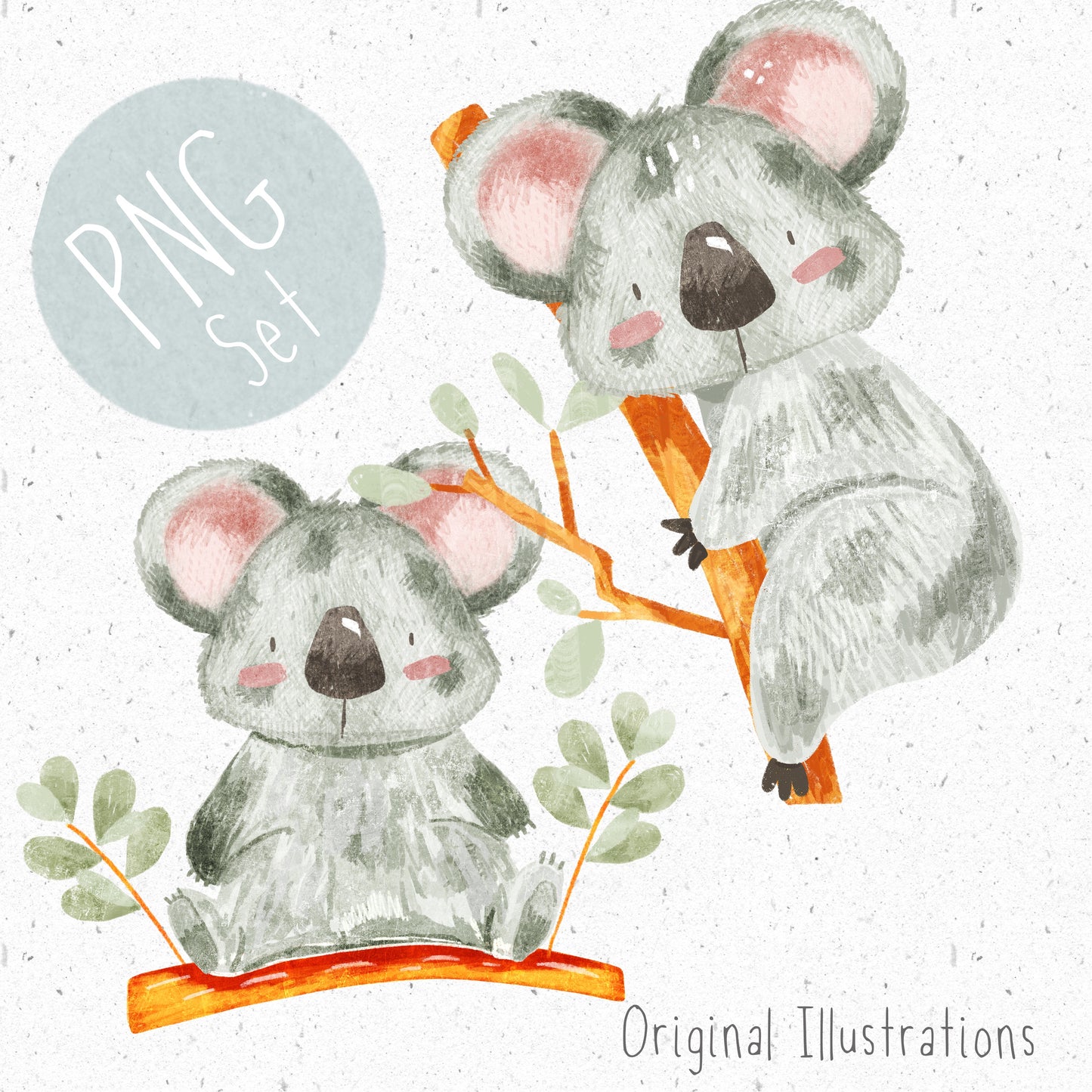 Koala PNG Set