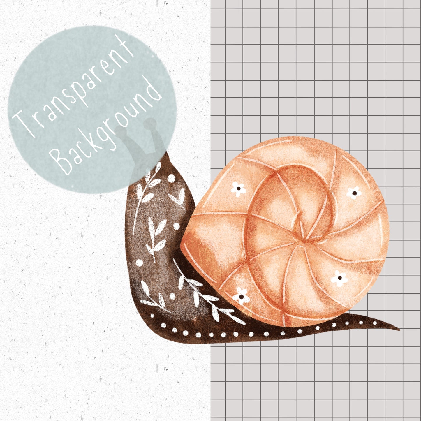 Insect PNG Set