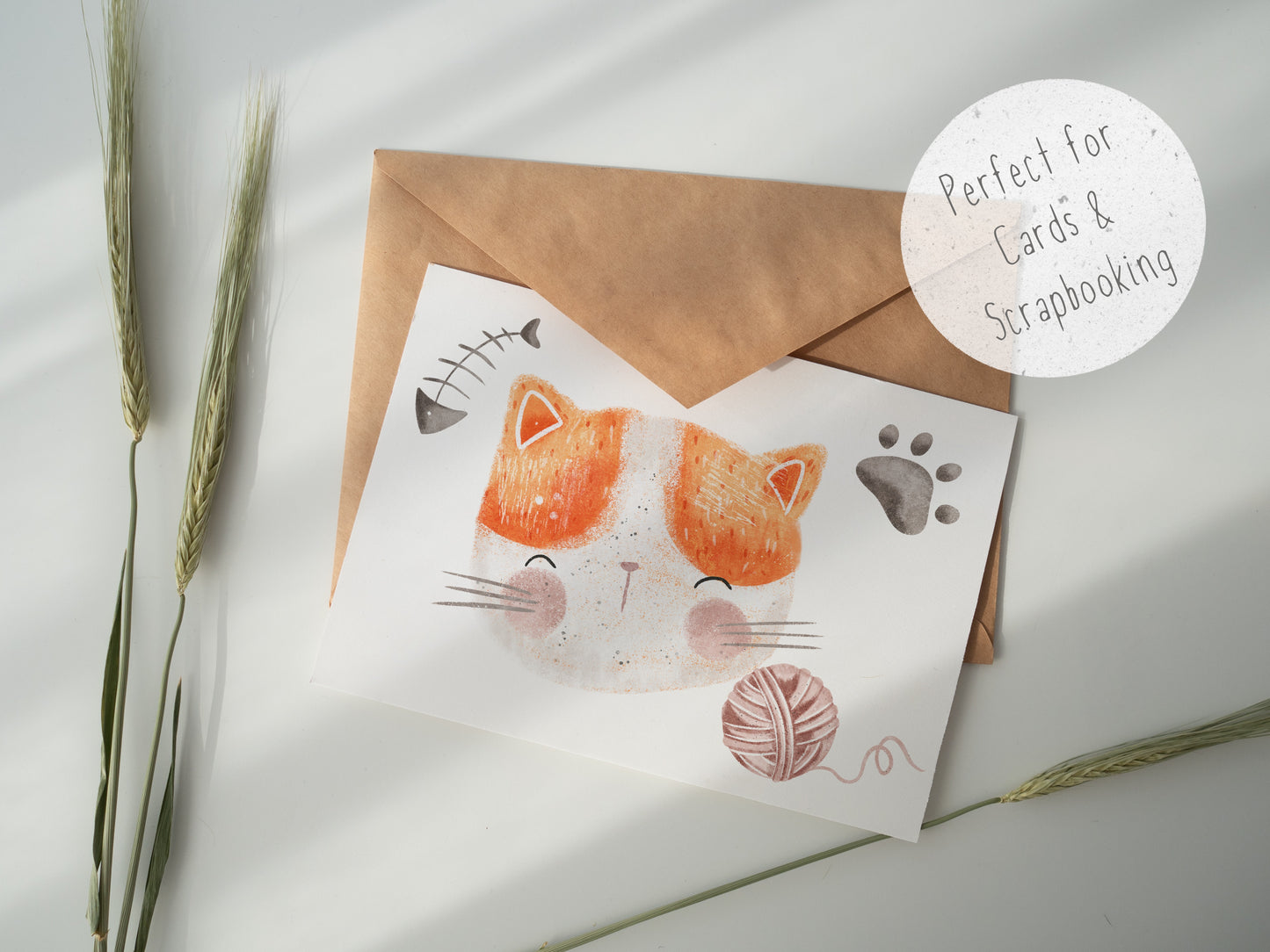 Cute Cats 7 piece PNG Set