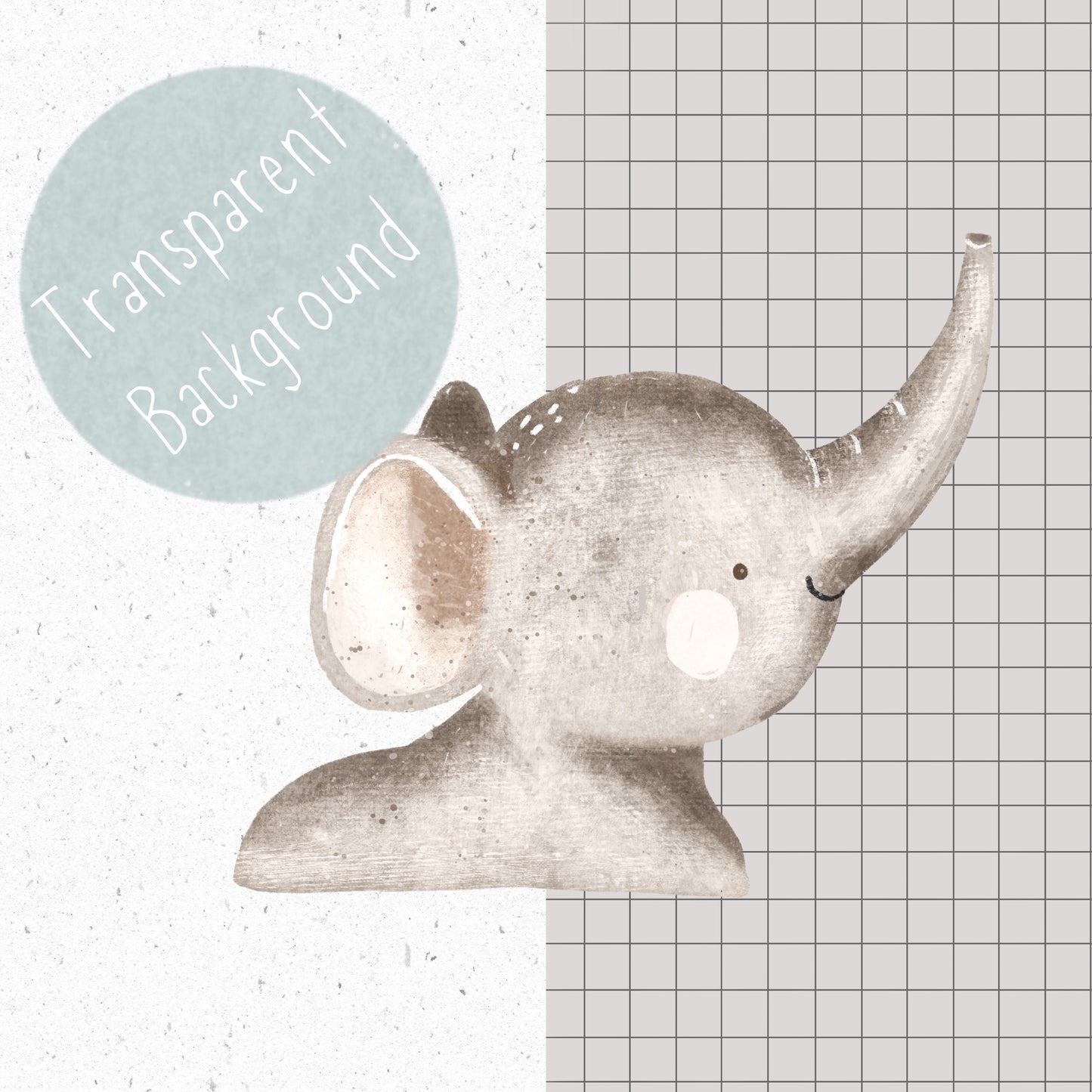 5 Piece Safari PNG Set