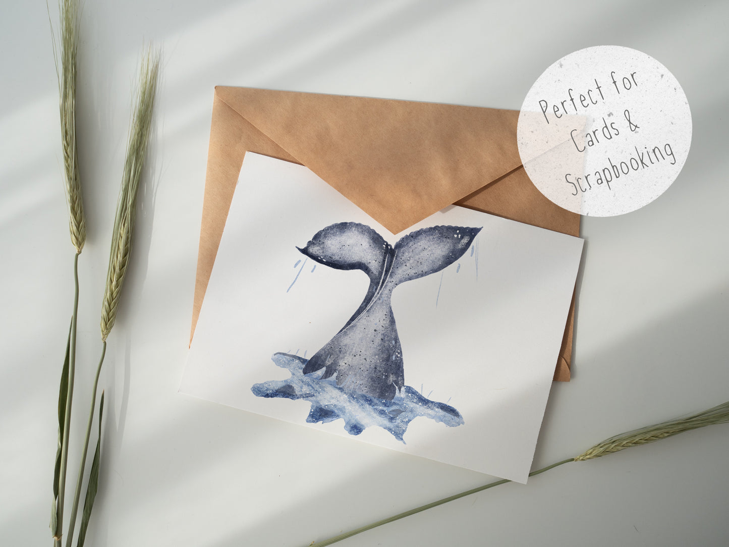 4 Piece Whale PNG Set