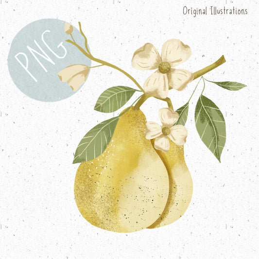 Floral Pear PNG