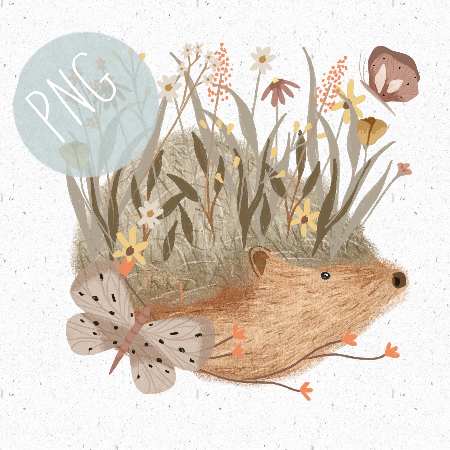 Cute Hedgehog PNG