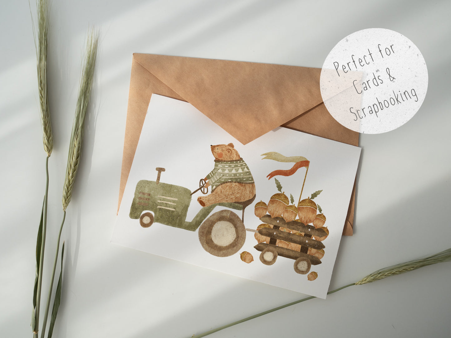 Fall Festival PNG Set