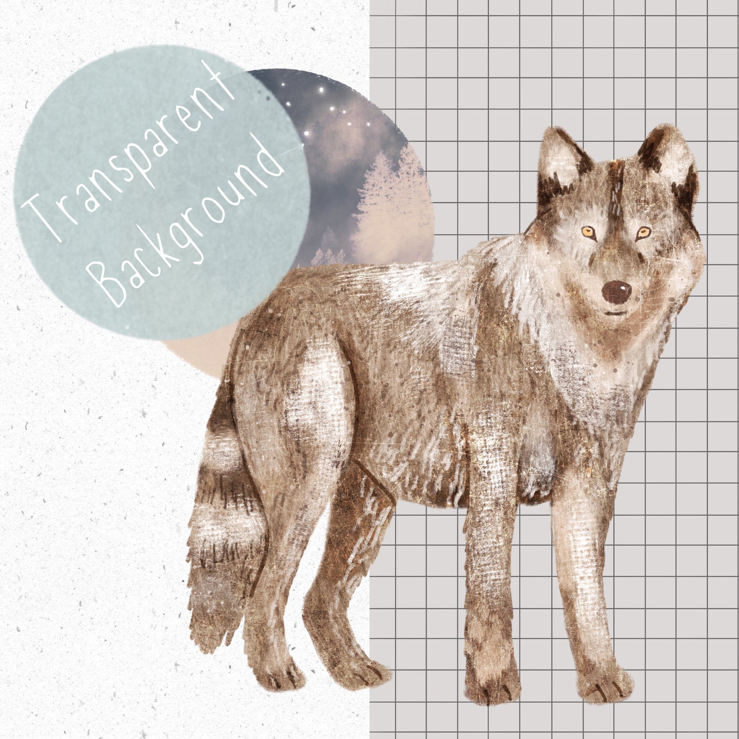 Wolf pack PNG Set