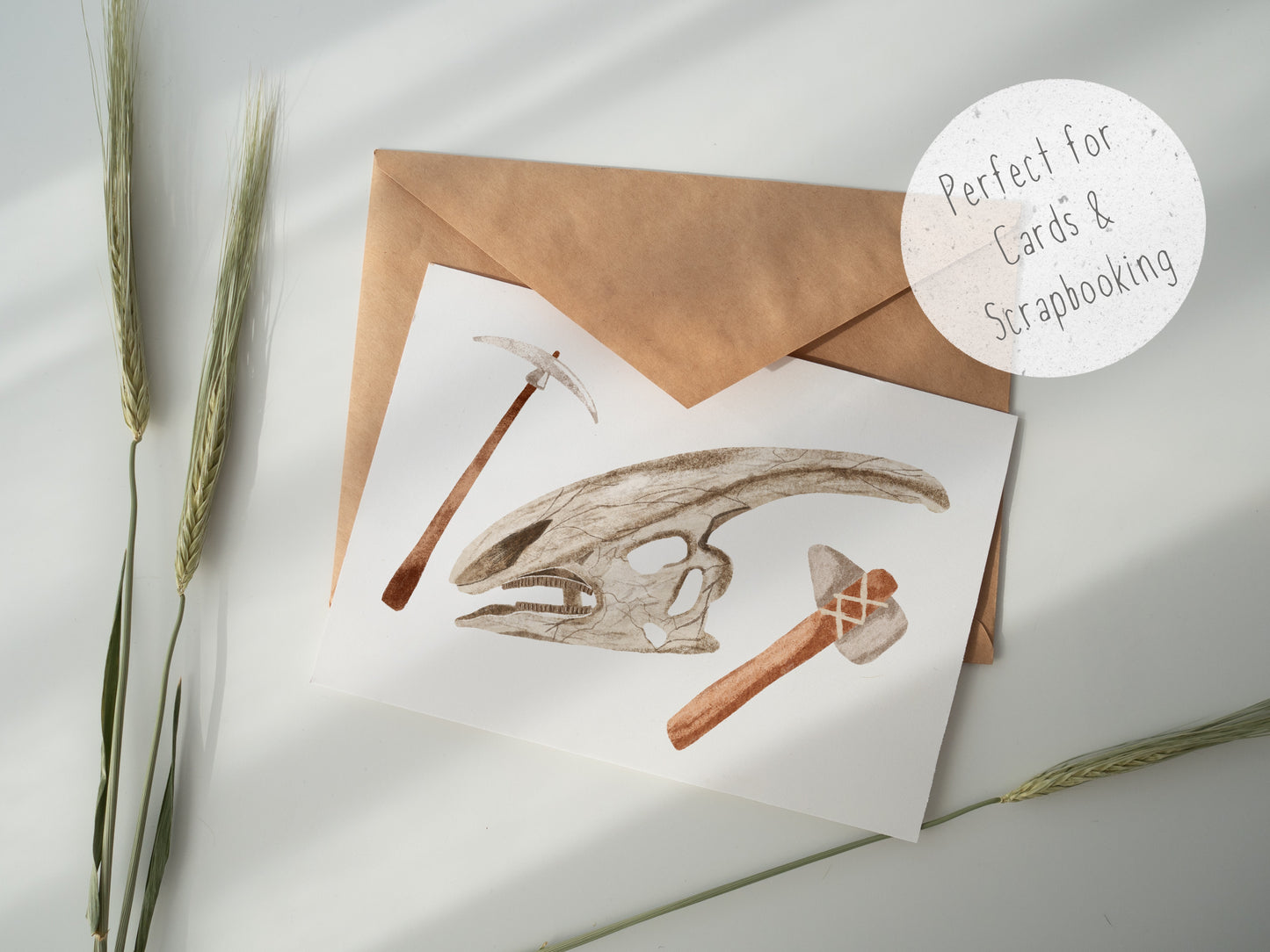 Fossil PNG Set