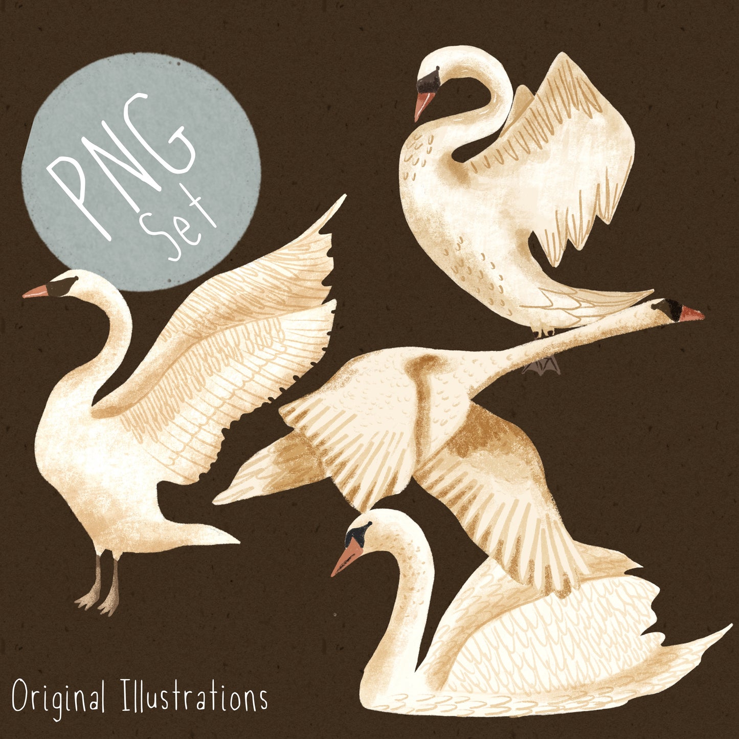 Swan PNG Set