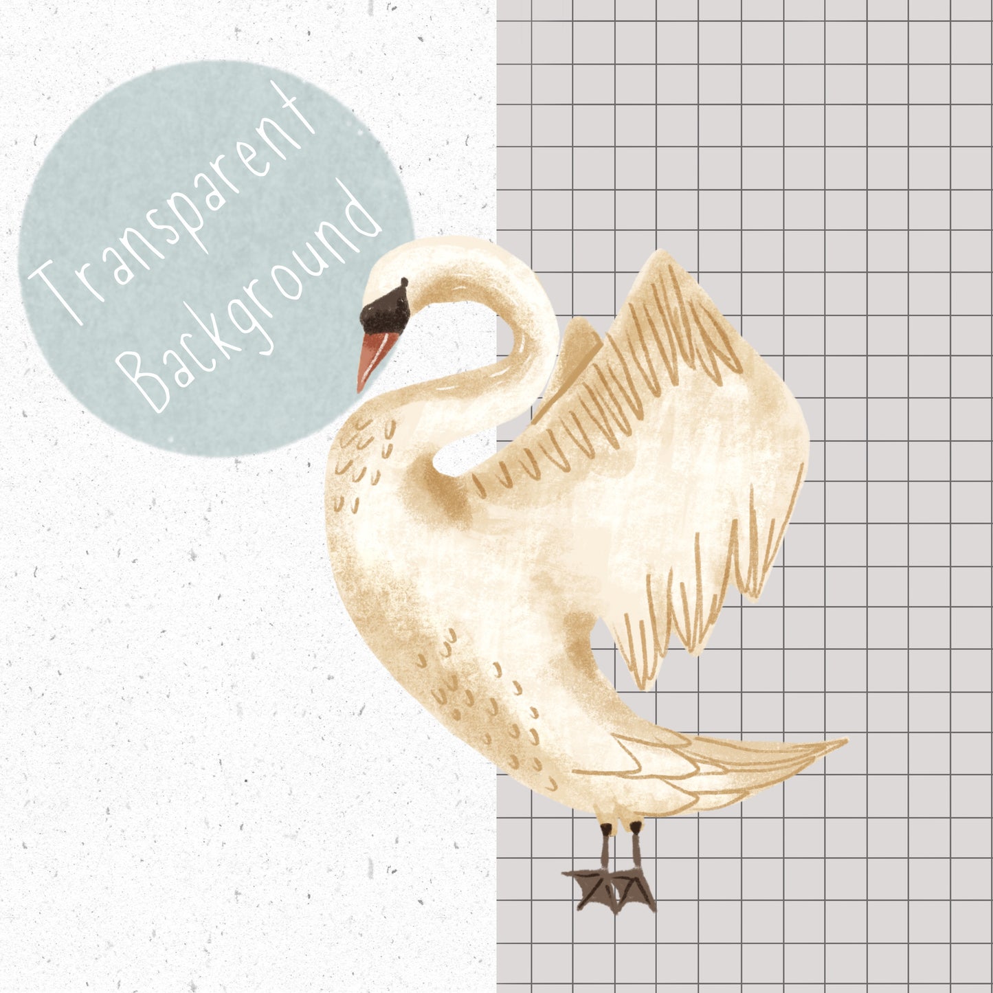 Swan PNG Set