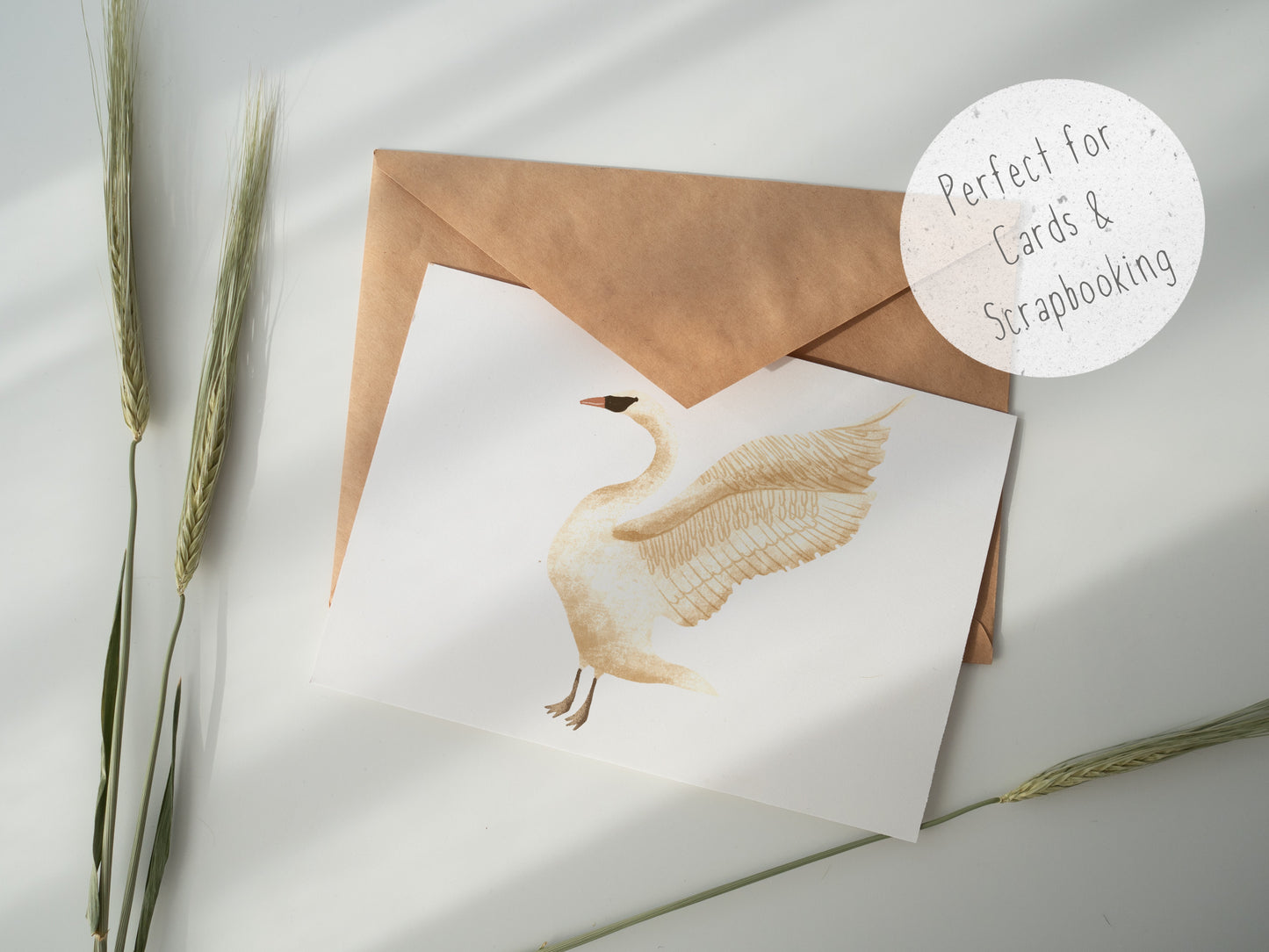 Swan PNG Set