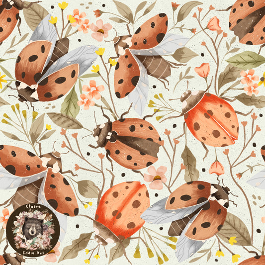 Coccinelle