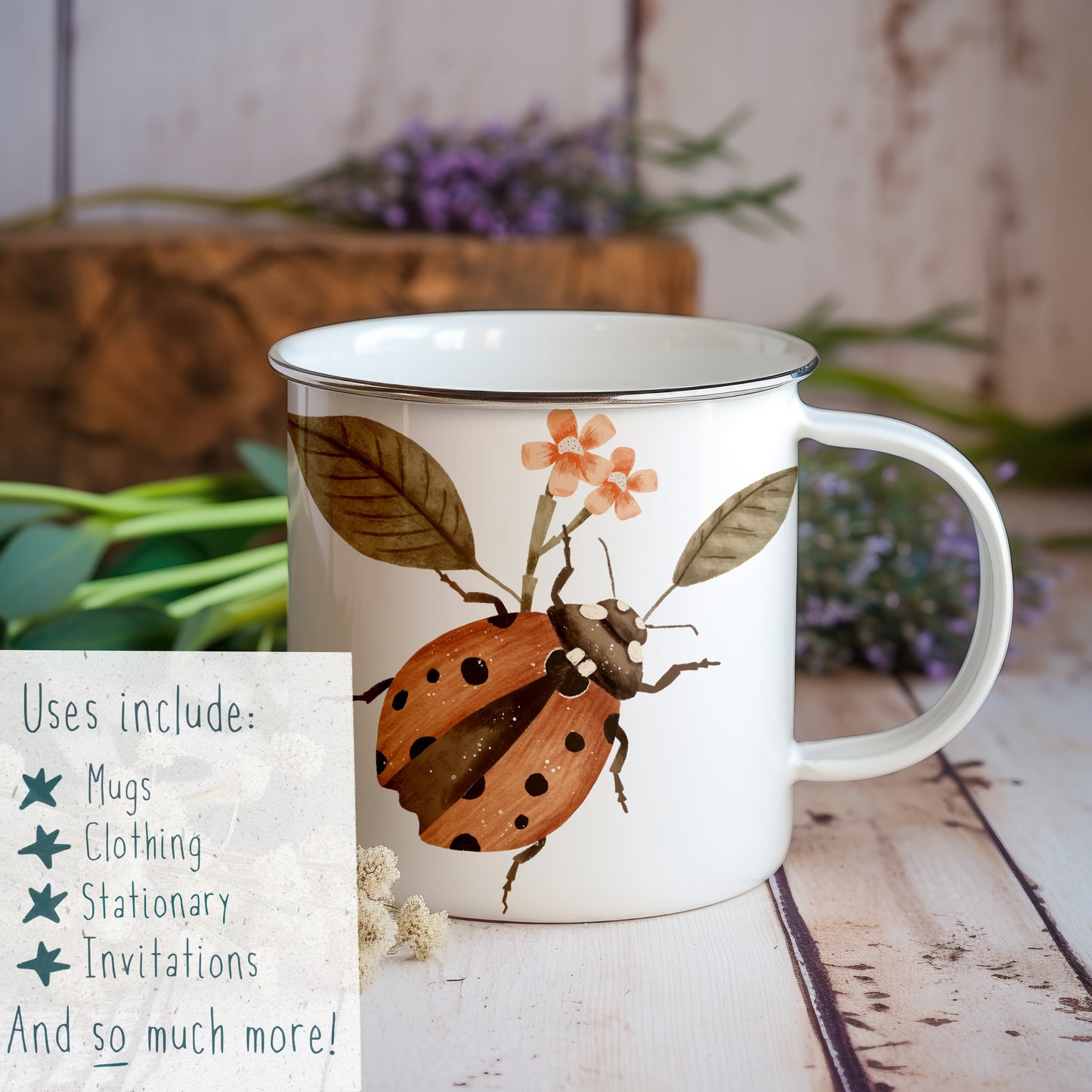 Ladybird PNG Set