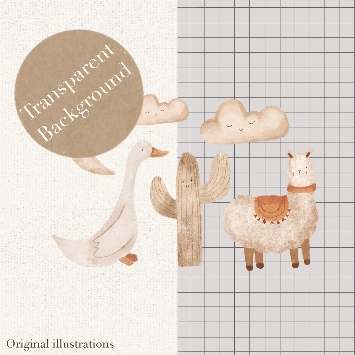 Gender Neutral New Baby PNG