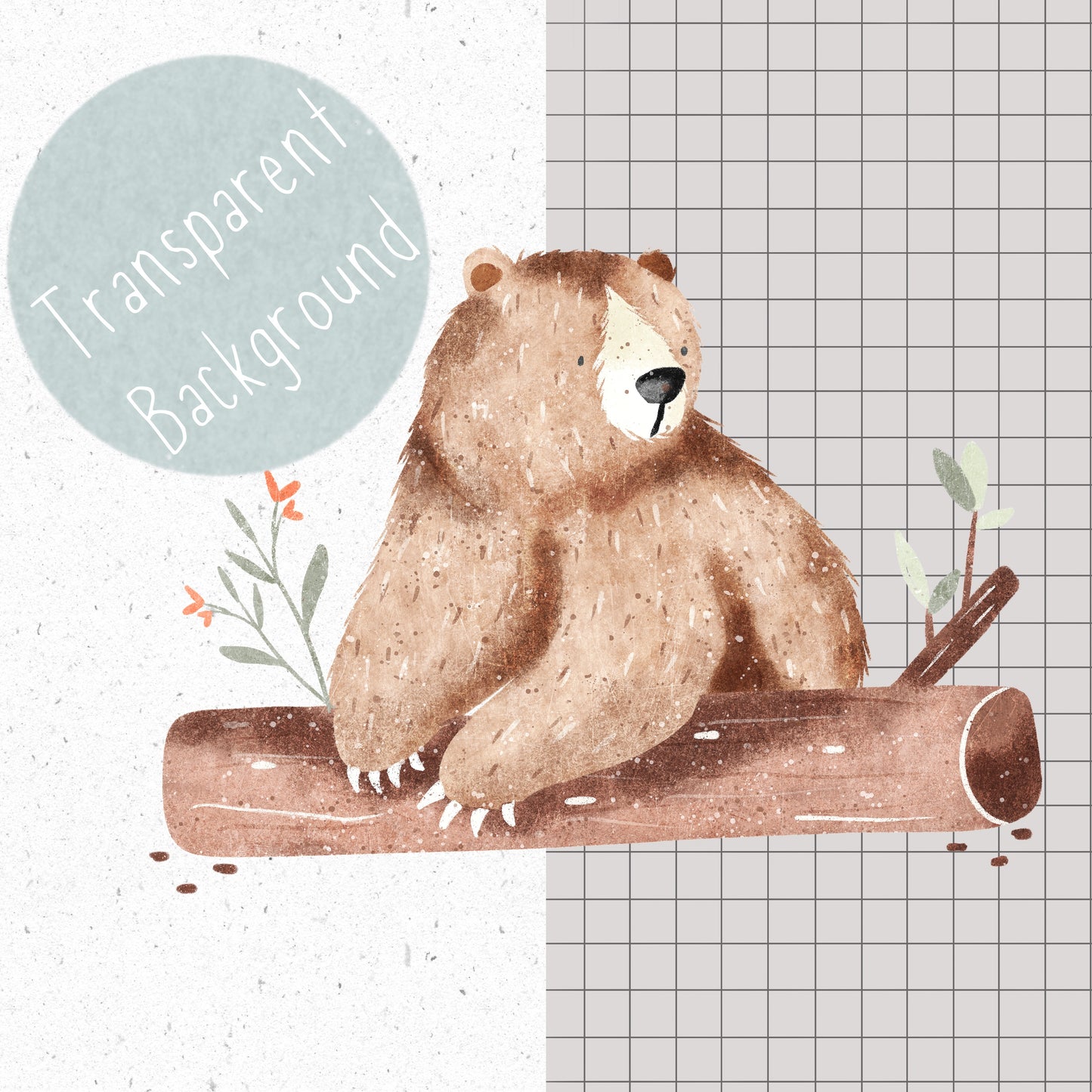Lazy Bear PNG