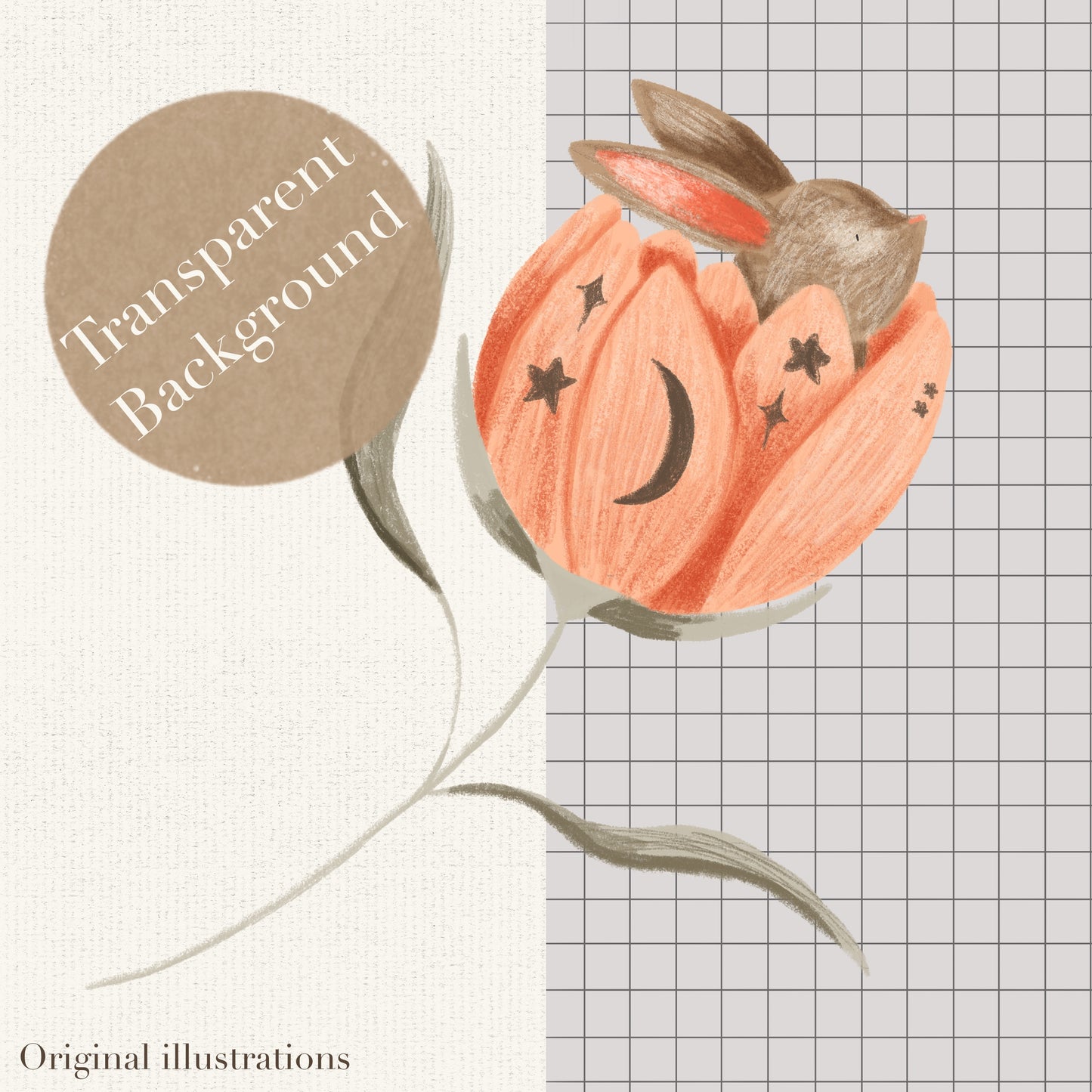 Rabbit in flower PNG