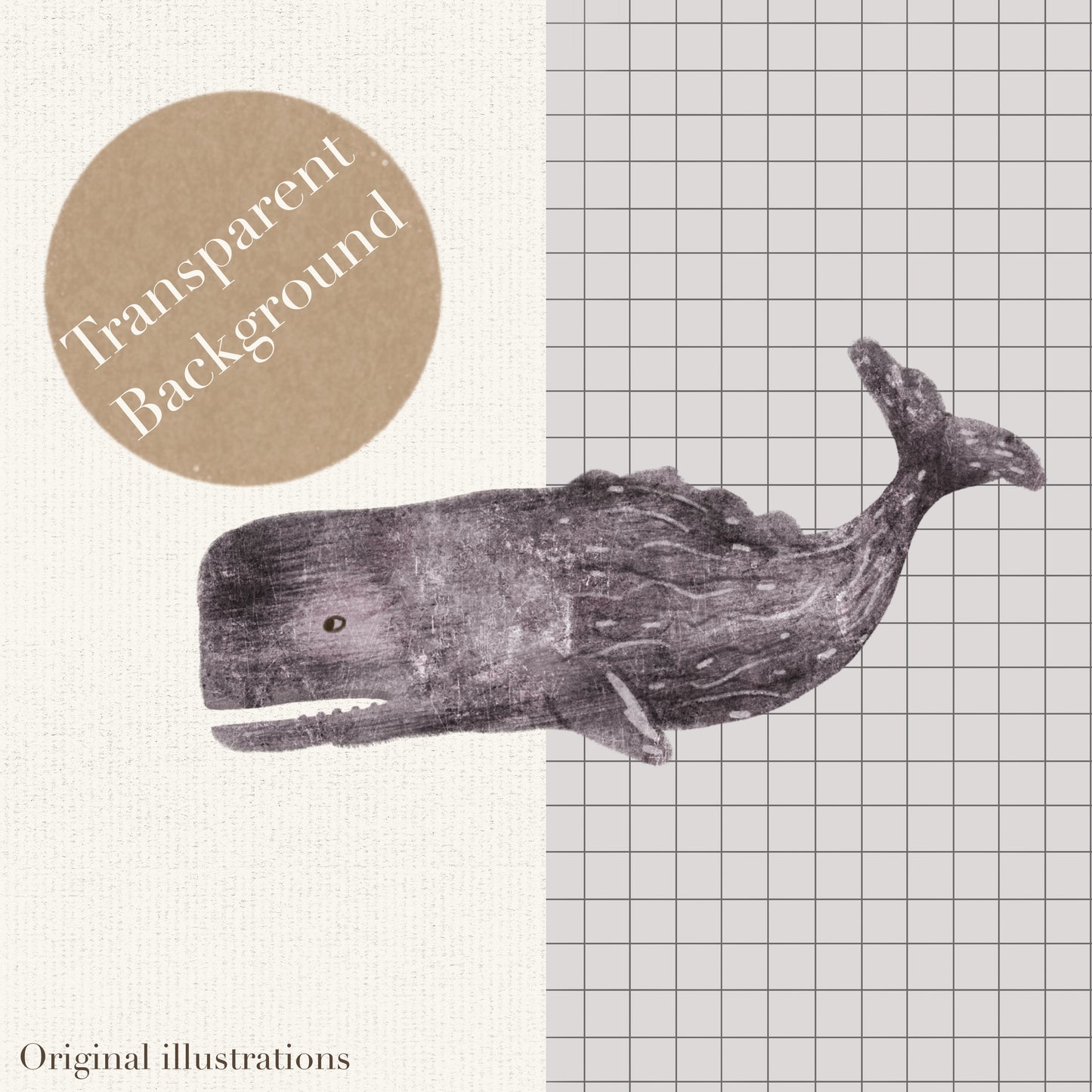 Sea Creatures PNG Set