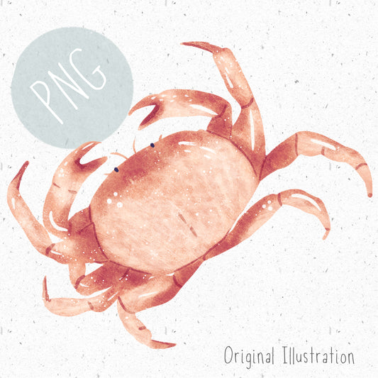 Crab PNG
