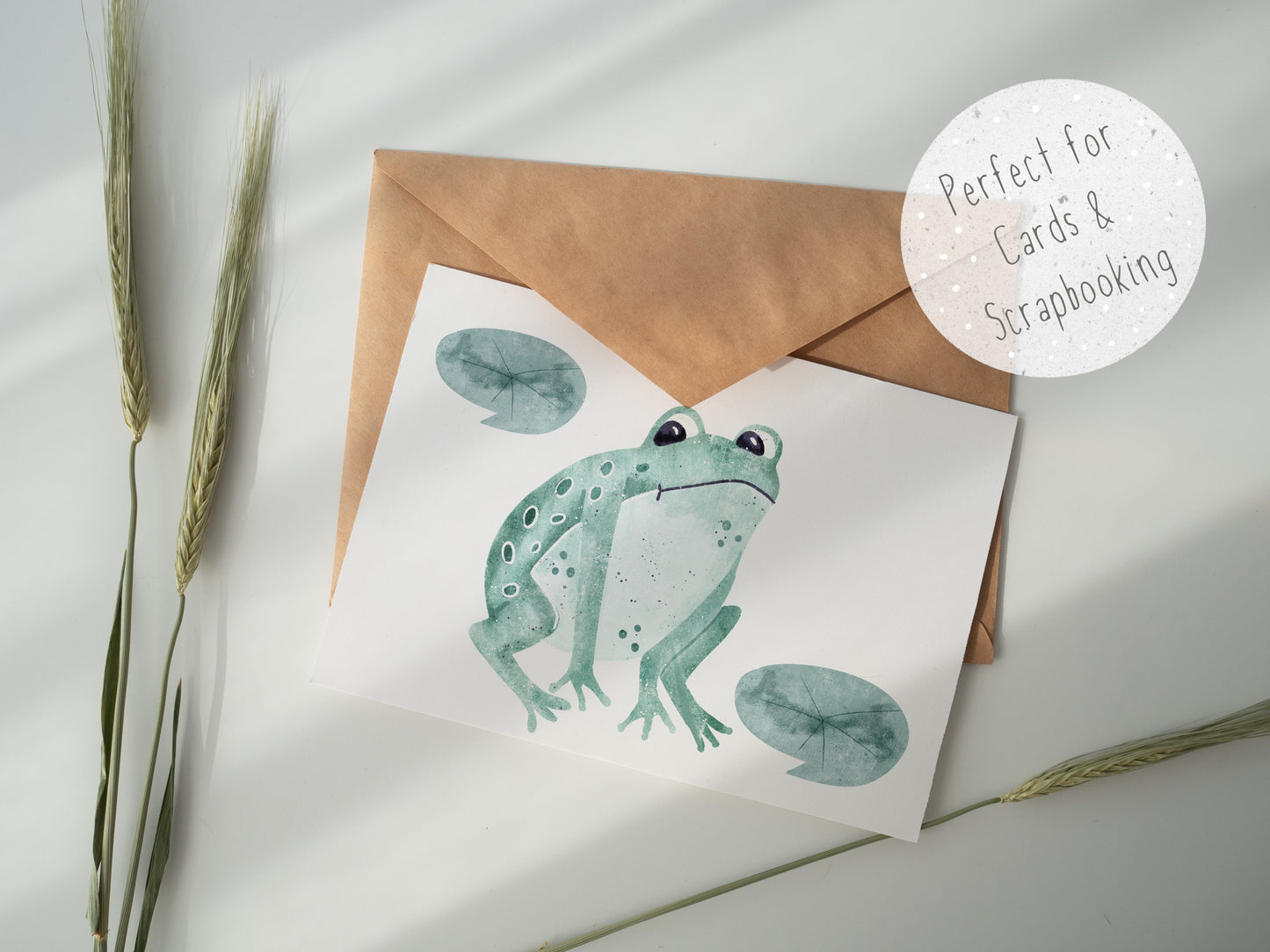 Frog PNG Set