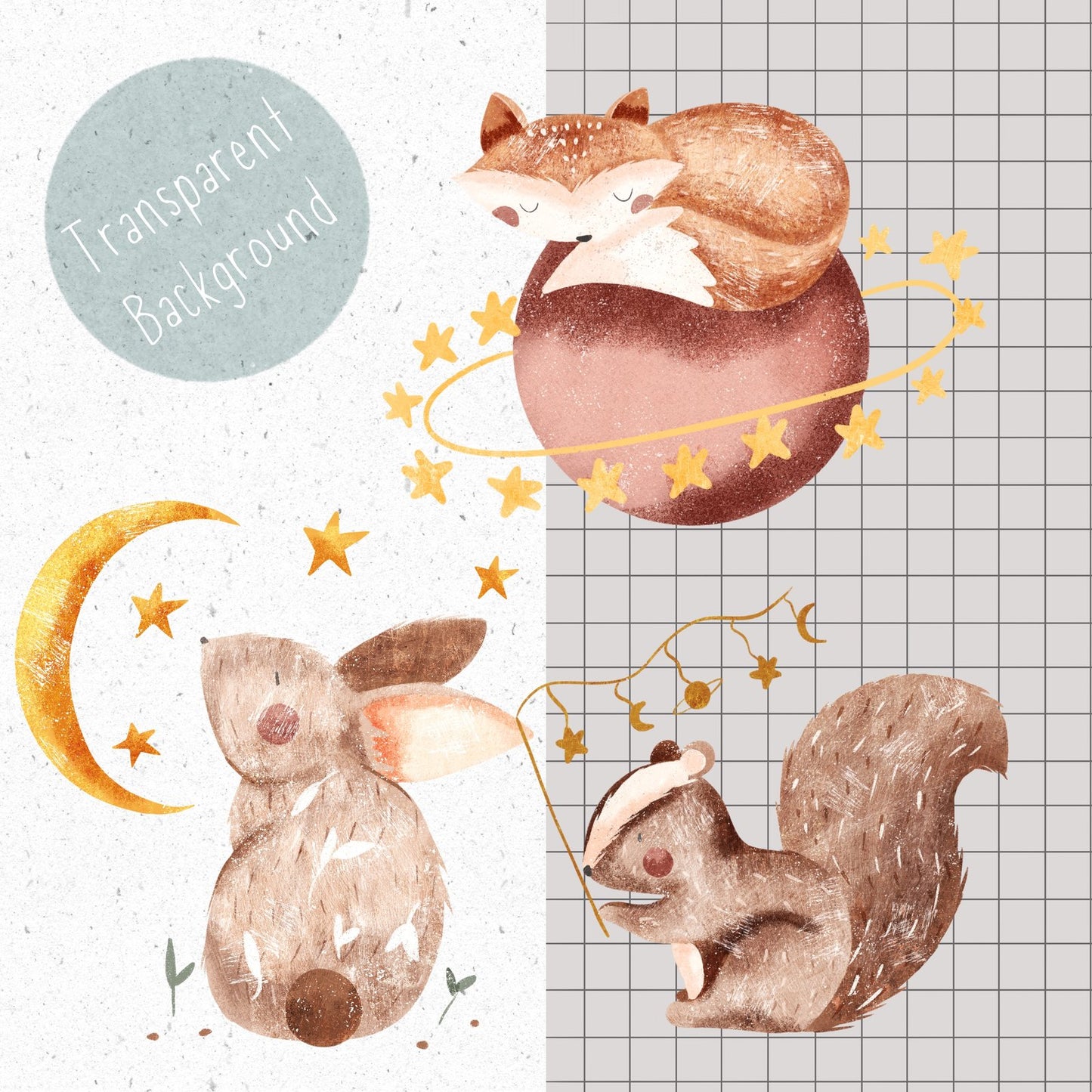 Woodland Space PNG Set