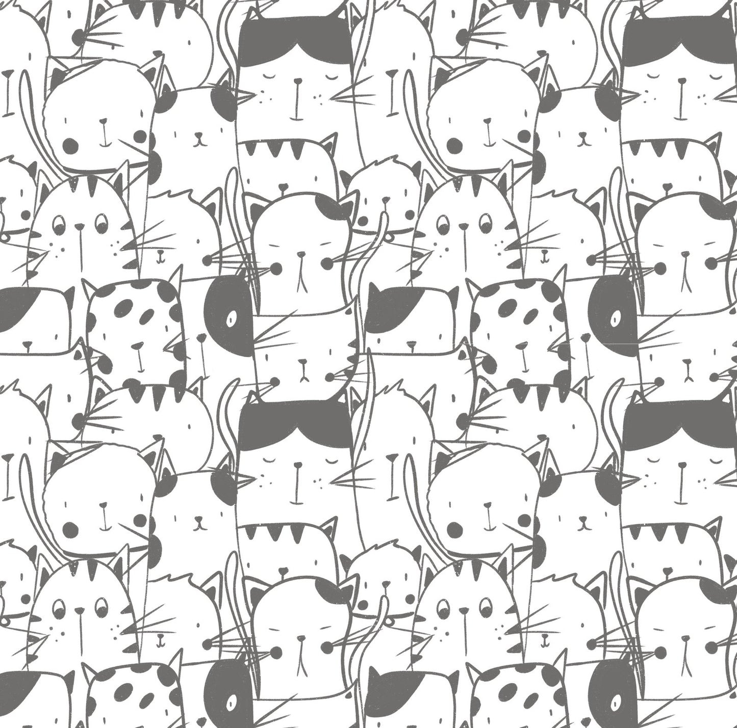 Felix - Non-exclusive