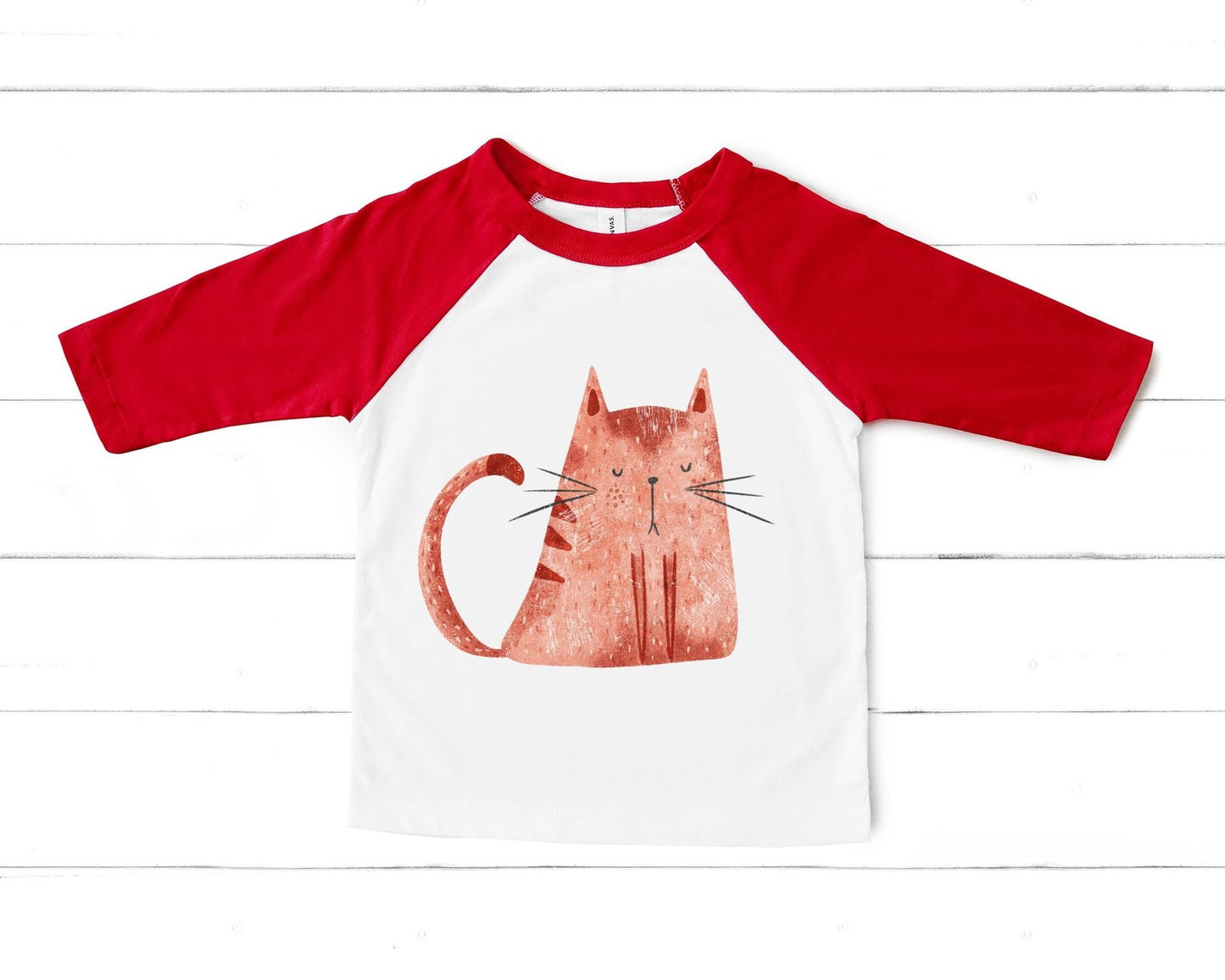 6 Cats PNG Set