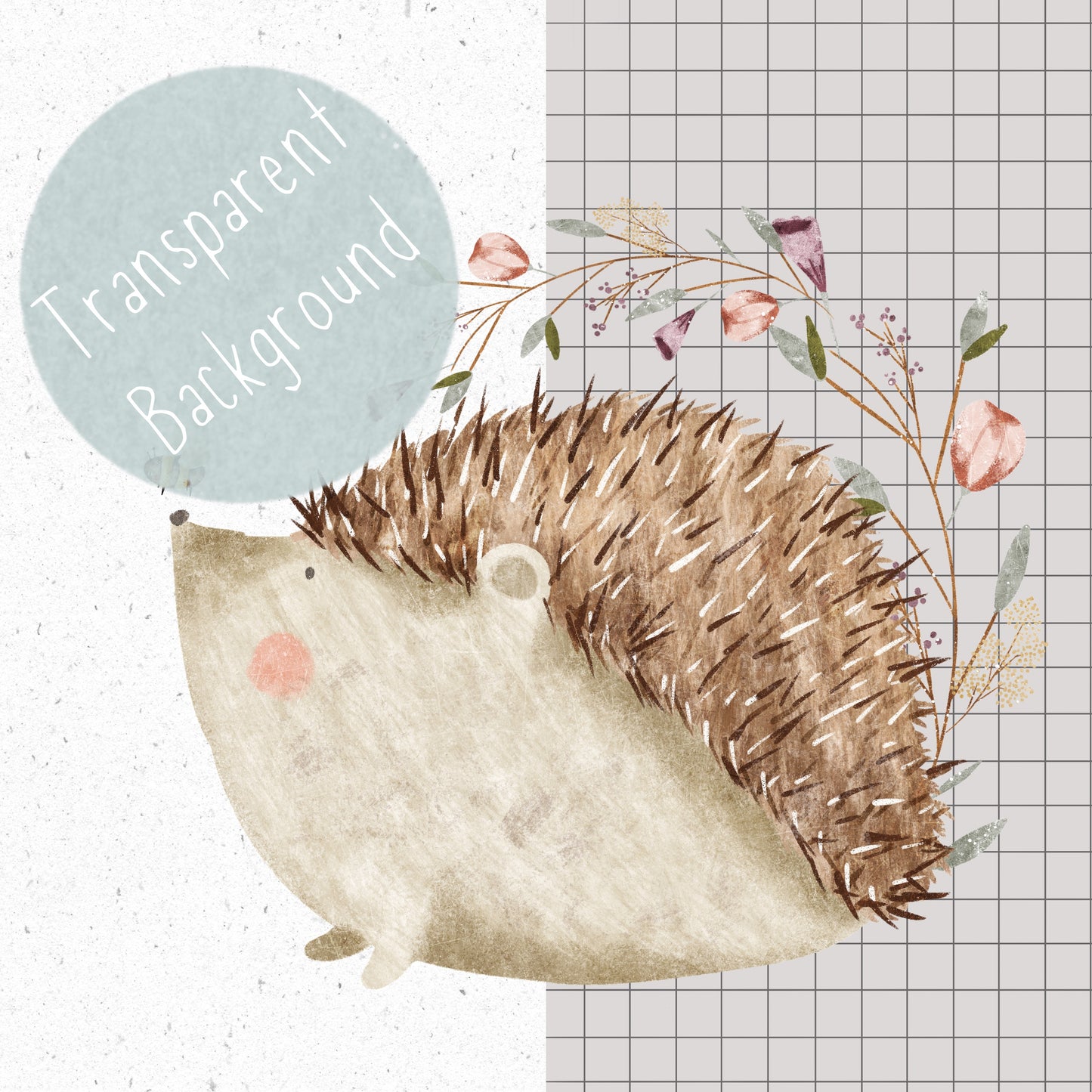Little Hedgehog PNG