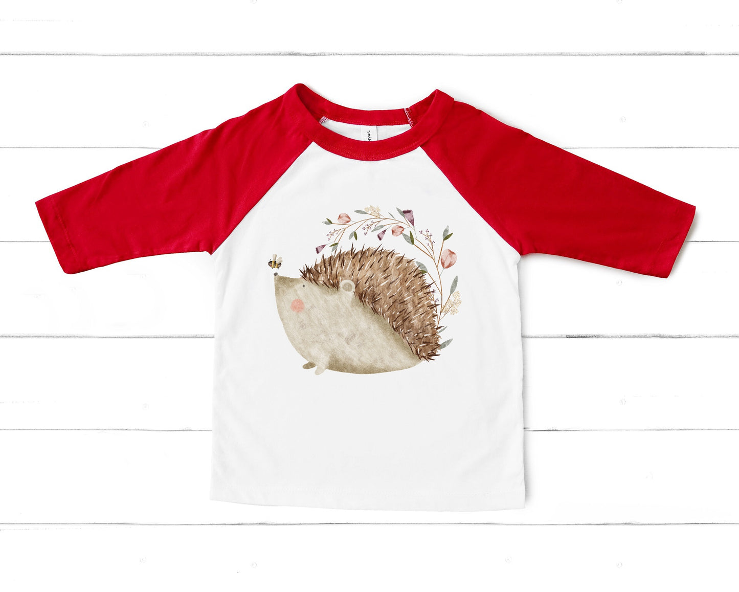 Little Hedgehog PNG