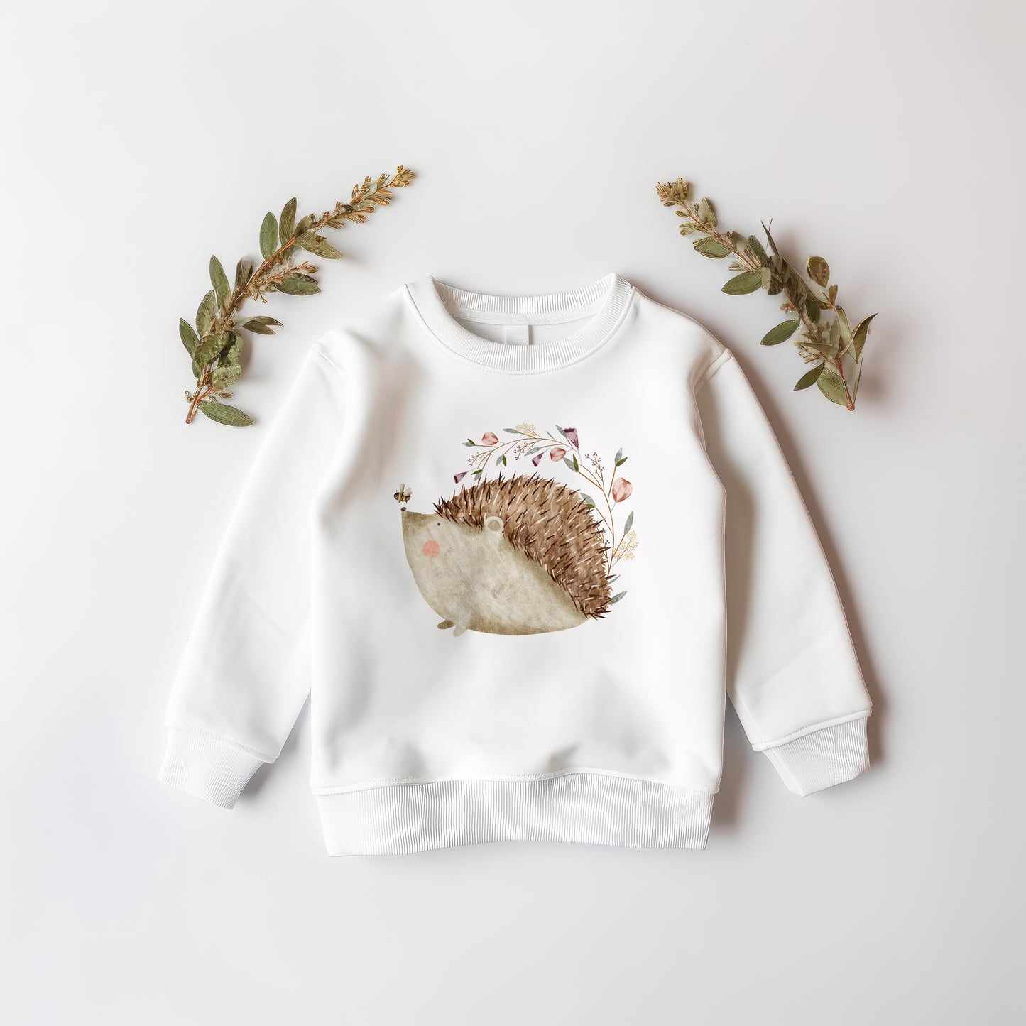 Little Hedgehog PNG