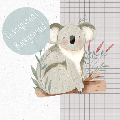 Koala PNG Set