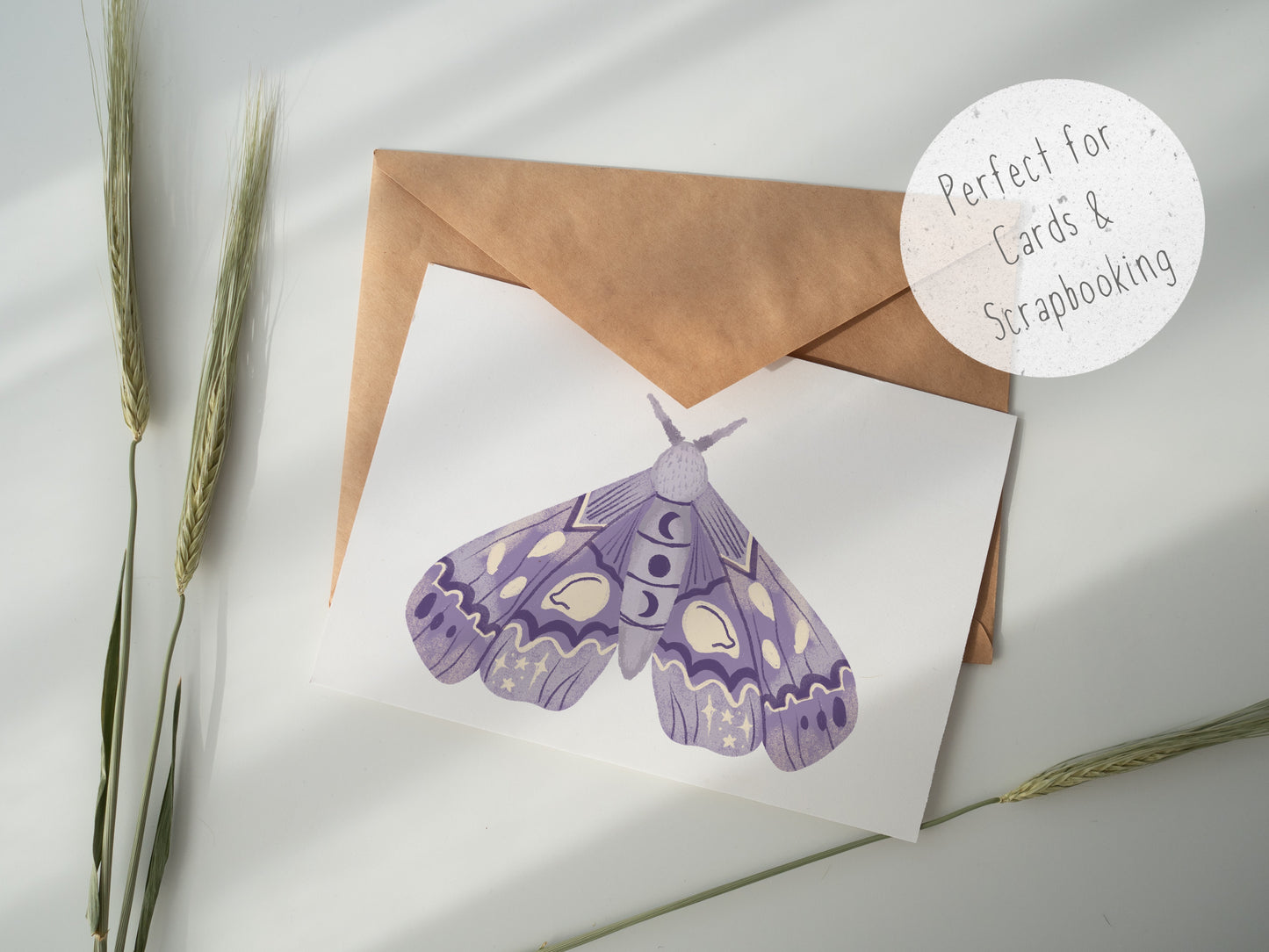 Lilac PNG Set