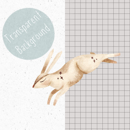 Moonlit Forest PNG Set