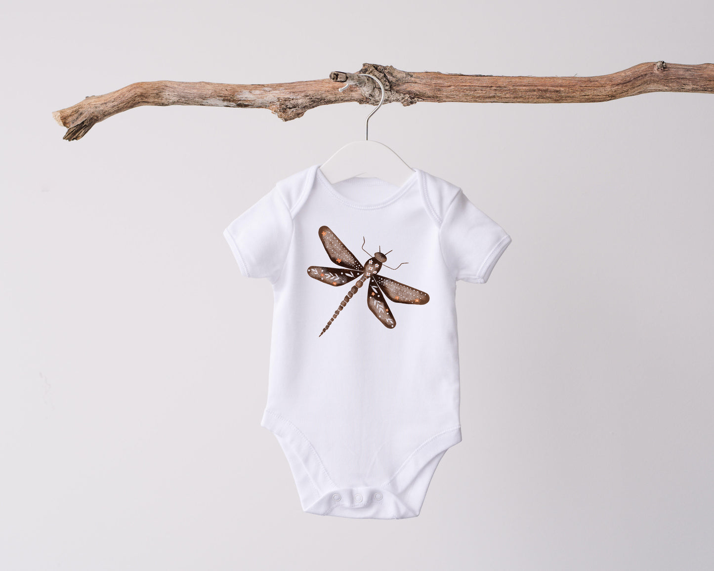 Insect PNG Set