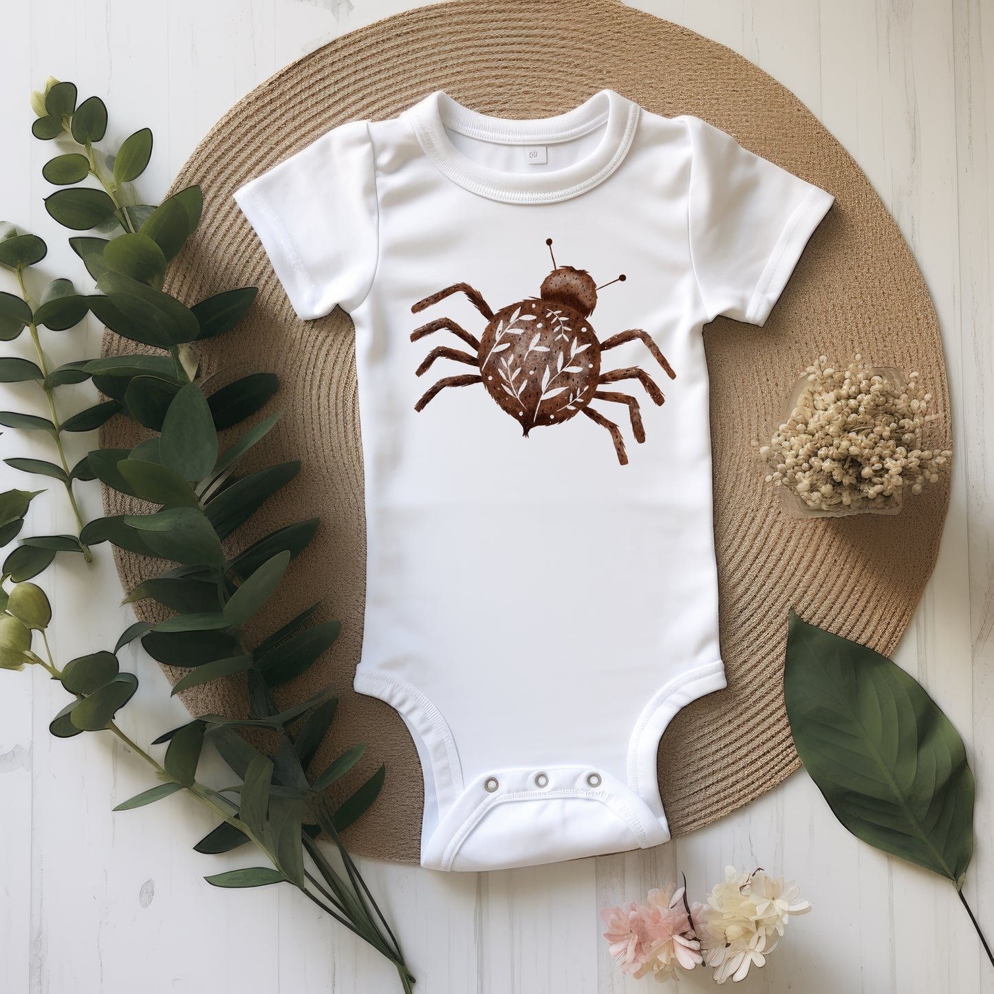 Insect PNG Set