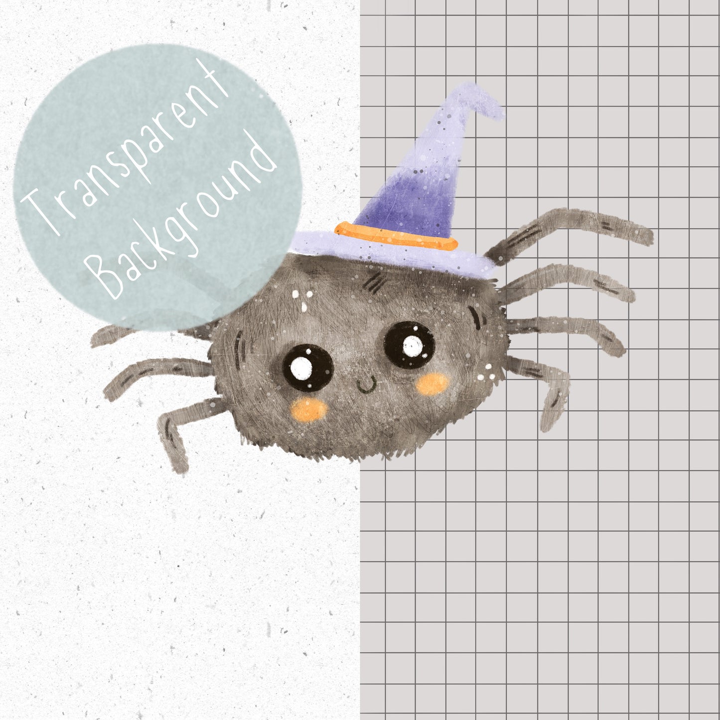 Cute Spider PNG Set