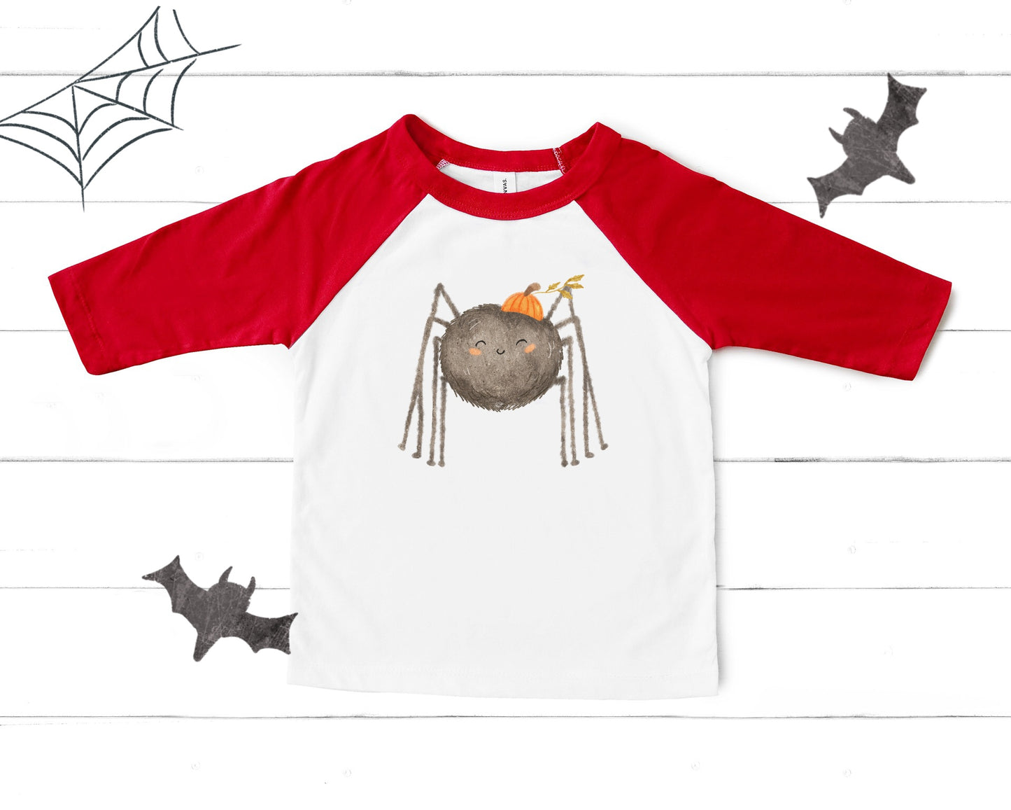 Cute Spider PNG Set