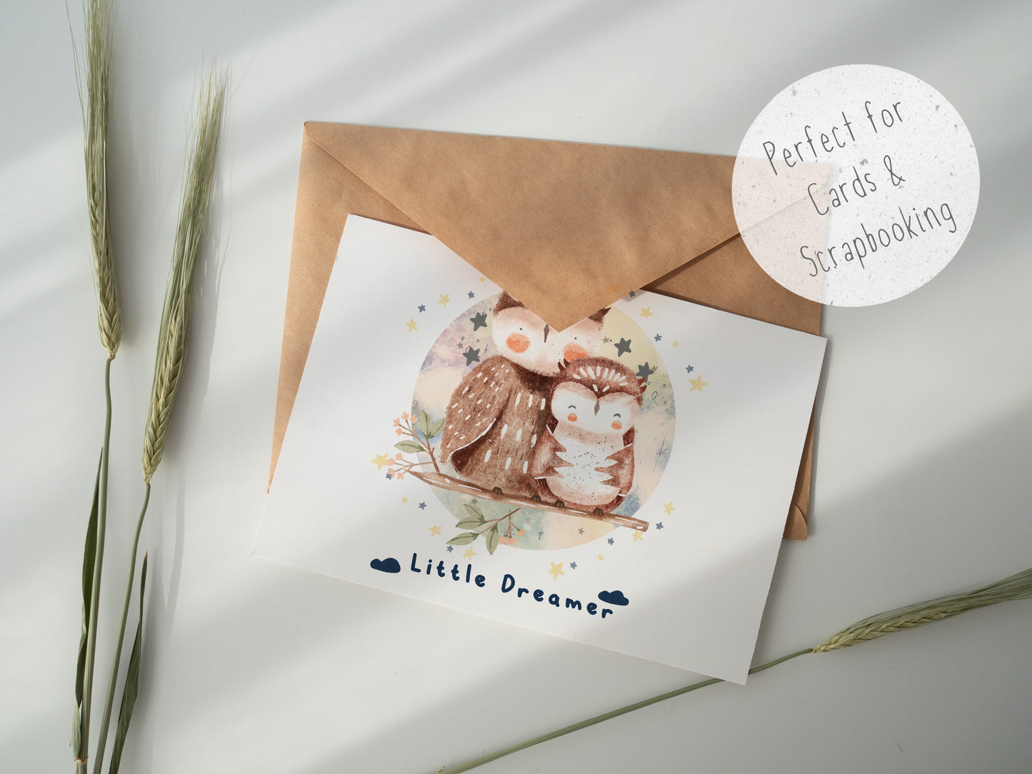 Little Dreamer Owls PNG