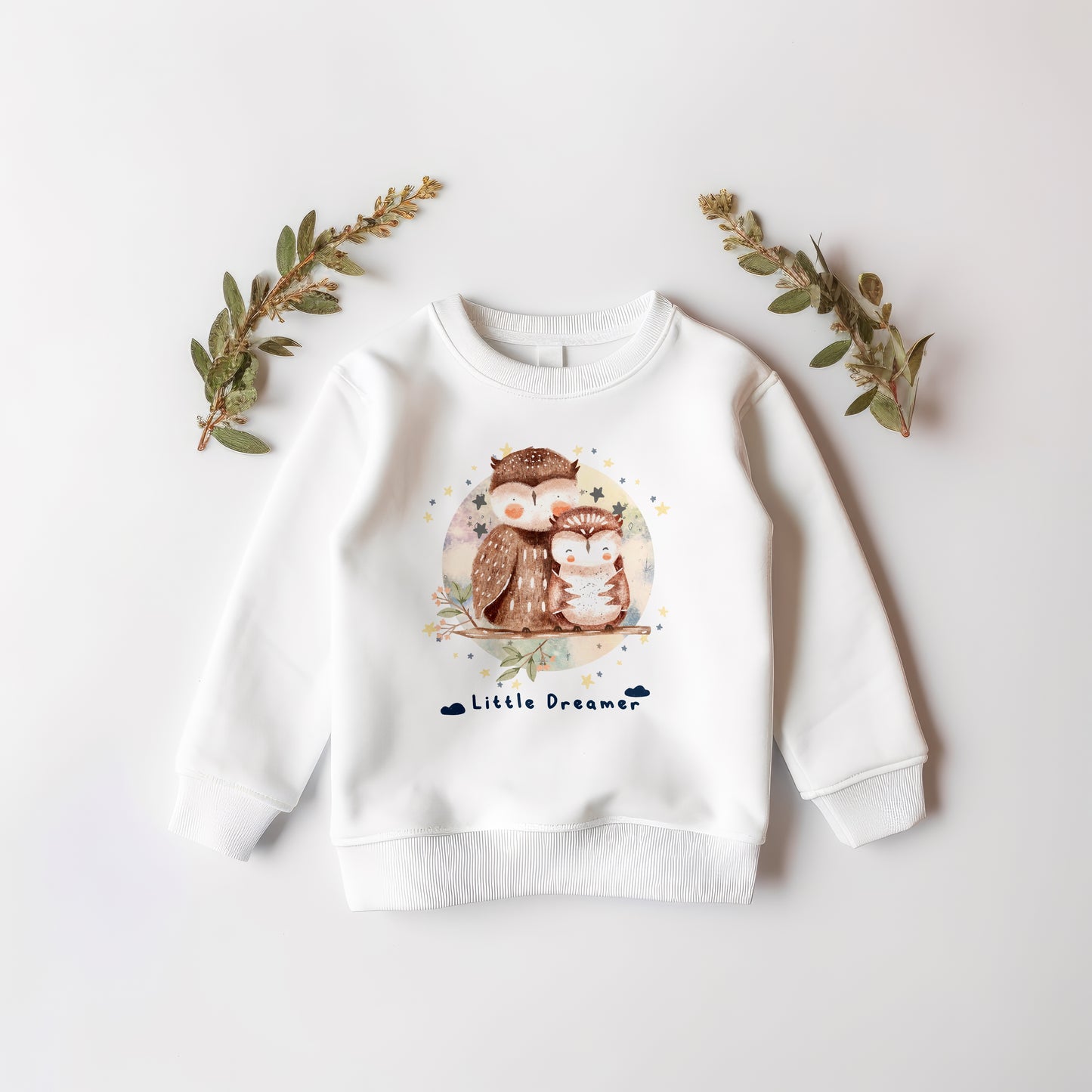 Little Dreamer Owls PNG