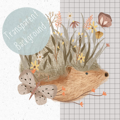 Cute Hedgehog PNG