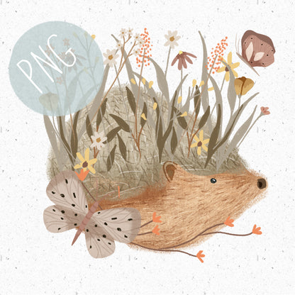Cute Hedgehog PNG