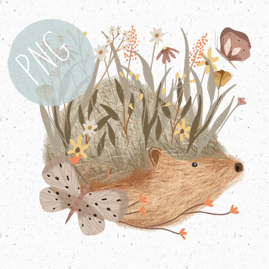 Cute Hedgehog PNG